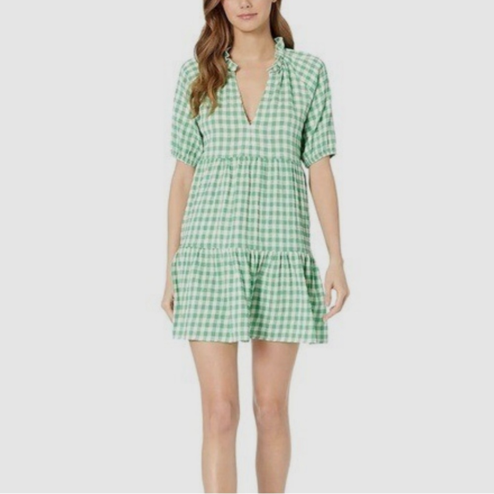BB Dakota Green Gingham Dress